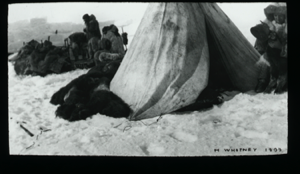 Image: Tent, sledge, 4 men, many furs